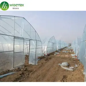 30x8m Hot sales tunnel poly film garden greenhouse for agriculture