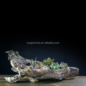 Yinrogogo — jardinière succulente <span class=keywords><strong>en</strong></span> résine, design spécial fait à la main, <span class=keywords><strong>pot</strong></span> <span class=keywords><strong>de</strong></span> fleurs décoratif pour jardin d'intérieur, maison, bureau - Product Image 2