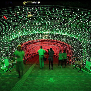 Đèn Led Lễ Hội Giáng Sinh 110V/220V - Product Image 6