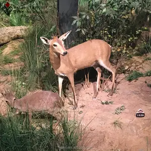 Estatua de Animal de excelente calidad, 2015