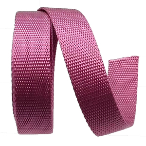 <strong>High</strong> Quality 100% Nylon <strong>Webbing</strong> for Bag Strap Bead Weaving 1 Inch 25mm Flat Nylon Belt <strong>Webbing</strong> - Product Image 2