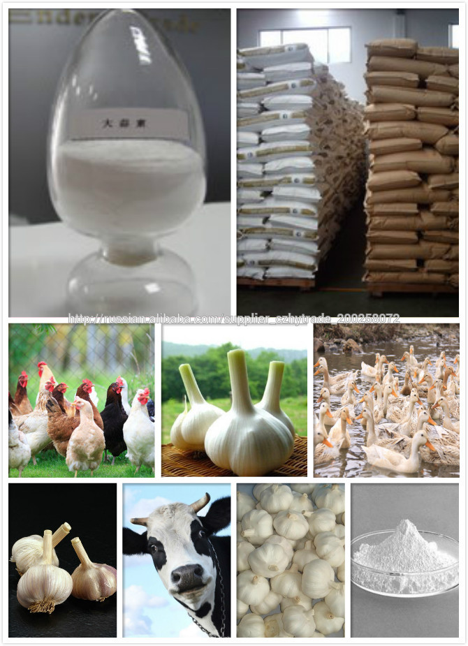Высокое качество Экстракт чеснока аллицин 25%