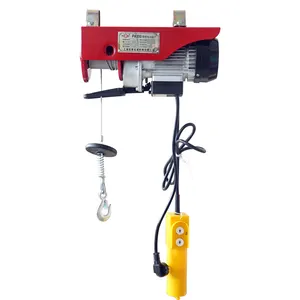 Small Lift Crane 1000KG Mini Electric Hoist Winch