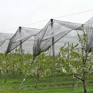 热销PE网植物保护防雹网，带紫外线用于农业保护