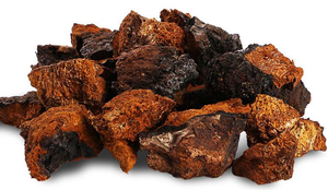 OEM الصين مسحوق مستخلص من النبات استخراج Chaga - Product Image 3