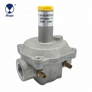 HEAPE 0.5-2 Bar <span class=keywords><strong>Natural</strong></span> <span class=keywords><strong>Gas</strong></span> Valve Regulator - Product Image 1