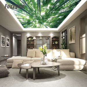 Film PVC imprimé extensible pour faux <span class=keywords><strong>plafond</strong></span> suspendu, motif bambou, largeur max. 1,5-5 m - Product Image 6