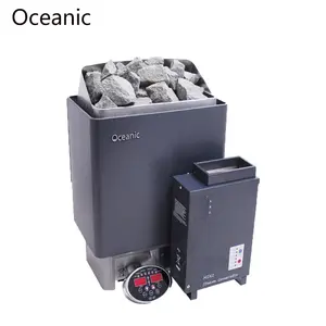 Oceanic Lüks kombinasyon 1KW mini elektrikli buhar jeneratörü demir ve sauna ısıtıcı satılık
