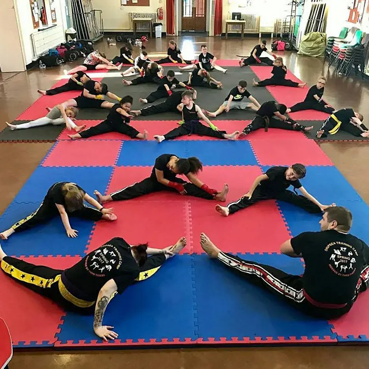 Eva Taekwondo Artes Marciais Puzzle Tapetes Chão 3cm Para Treinamento