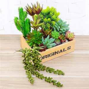 Maison & Décoration Florale Artificielle Mini Cactus Succulentes Plante Du Désert - Product Image 3