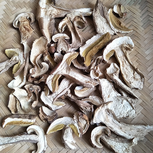 Detan <span class=keywords><strong>secos</strong></span> <span class=keywords><strong>boletus</strong></span> blanco precios de mercado de setas - Product Image 5