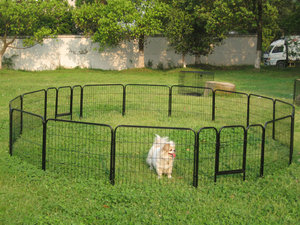 Valla de metal para perros, valla plegable para mascotas, valla extensible para perros - Product Image 3