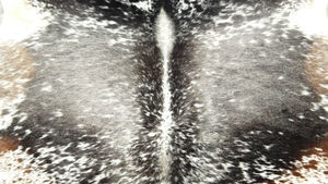 Cow Hide Rug - Product Image 2