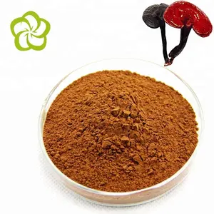 OME 100% Natrual Organik Ekstrak Jamur Reishi Lingzhi Spores Powder