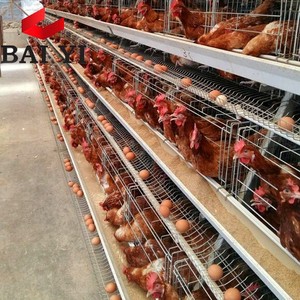 Nuevos gallineros industriales de alambre galvanizado para gallinas ponedoras, antirrobo y duraderos, con capacidad para 5000 pollos - Product Image 1