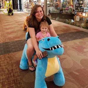 Hansel 2016 Vente en gros Attractions pour parc Jouet en peluche Animal Voiture Renard pour Noël - Product Image 6