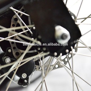 Ce approuvé pédale assistée famille 3 roues électrique pédale aider cargo bike - Product Image 4