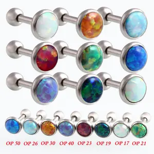 Titanyum Çelik Elmas Kulak Damızlık Opal Rhinestone Piercing Küpe