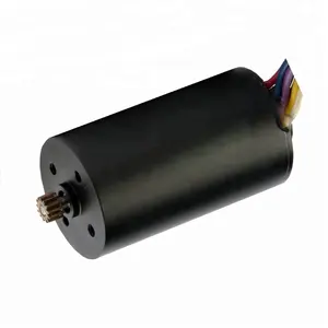 22mm 10000RPM motore Bldc motore Brushless PWM depilatore a magnete permanente 24v plastica argento bianco o nero ACP 24V DC IE 1 2mm