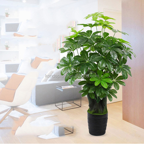 Material de plástico artificial fake wholsale dinero árbol de los <span class=keywords><strong>bonsai</strong></span> - Product Image 2
