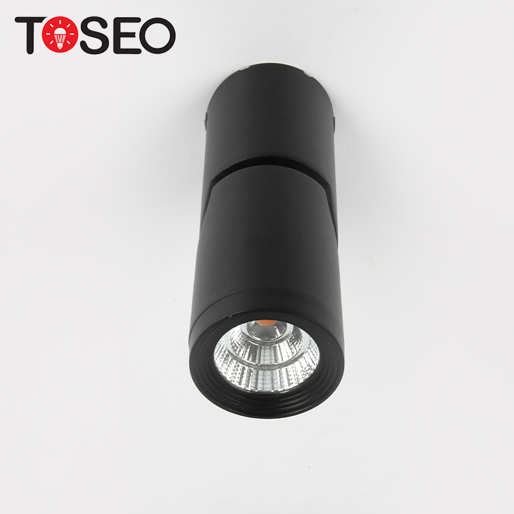 Black Surface Mounted Downlight Adjustable 90 Degree 10W Bathroom Ceiling Spotlights