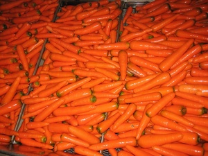 Carottes jaunes chinoises, vente en gros, 1 pièce - Product Image 5