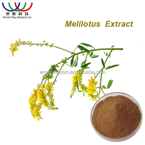Sweet Clover Extract Coumarin High Quality Melilotus Officinalis Extract Coumarin <strong>Powder</strong> - Product Image 5
