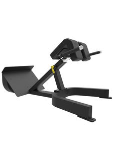 <span class=keywords><strong>Banc</strong></span> romain, <span class=keywords><strong>banc</strong></span> d'extension dorsal, <span class=keywords><strong>banc</strong></span> <span class=keywords><strong>de</strong></span> <span class=keywords><strong>musculation</strong></span> - Product Image 2