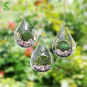 En gros Soufflé À la main En Forme De Larme Terrarium En Verre Suspendu - Product Image 3