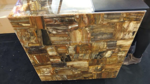 Bois pétrifié dessus de table à vendre - Product Image 5