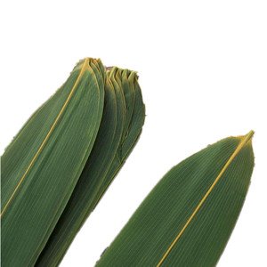 Sushi fresco nuove foglie <span class=keywords><strong>di</strong></span> bambù <span class=keywords><strong>foglia</strong></span> confezionata sottovuoto - Product Image 5