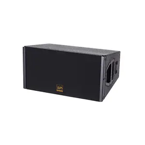 Doppio 10 pollice 700 w dj pro line array p audio speaker box design (Q1)