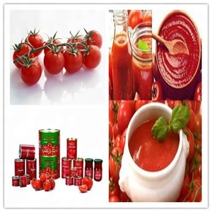 Томатный концентрат машина для обработки томатных макаронных изделий Автоматическая производственная линия томатного пюре - Product Image 5