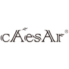 Guangzhou Caesar Door Control Co., Ltd. logo