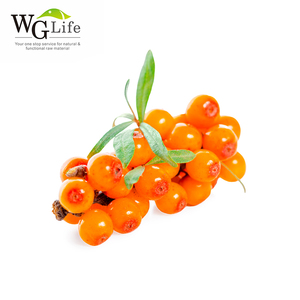 Bột Trái Cây Hắc Mai Biển Nhà Máy Trung Quốc Tập Trung Flavonoids Rong Biển - Product Image 4