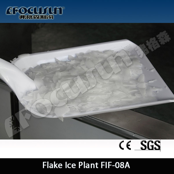 Machine à Glace en paillette utilisant eau douce à vendre en Chine