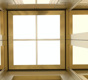 <span class=keywords><strong>Lift</strong></span> Penumpang Rumah Villa Tekstur Logam Emas Desain Mewah Pabrik Cina - Product Image 5