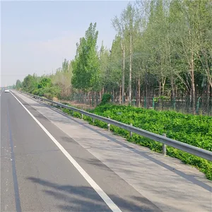 Safety Barriers Top Quality Professional Manufacturer Crash Barrier Popular Russian Standard Safety Barrier Guard Rails