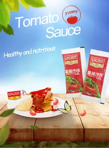 High Quality Free Samples Tomato Sauce Packing In Bottle 30g Tomato Sauce Packing In Sachet Used On Sardine Canned Salmon