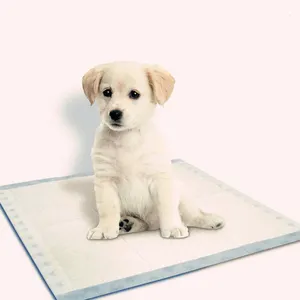 Không Dệt Nước Tiểu Thấm Pet Pad Ma Thuật Pet Dog Pee Pad Dùng Một Lần Puppy Pet Đào Tạo Pads 60X60Cm 30 Cái