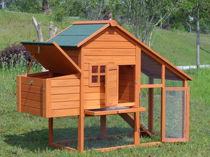 Étanche en bois poulailler solide motif transporteur et conception de cage pour petits animaux ou oiseaux - Product Image 6