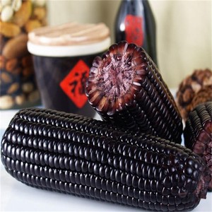 Asequible traje <span class=keywords><strong>maíz</strong></span> fresco púrpura <span class=keywords><strong>maíz</strong></span> ceroso doble cob - Product Image 5