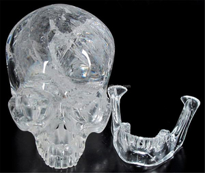 Charmant Handgemaakte Levensgrote Clear <span class=keywords><strong>Crystal</strong></span> <span class=keywords><strong>Skull</strong></span> Met Live Kin Voor Verkoop - Product Image 2