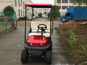 Golf Cart a <span class=keywords><strong>2</strong></span>+<span class=keywords><strong>2</strong></span> Posti a Gas o Elettrico con Molteplici Colori Disponibili e Prezzi all'Ingrosso di Fabbrica - Product Image 5