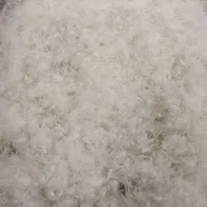 Matériel de remplissage de plumes d'oie, blanc naturel, petit prix, lavable en Machine, vente en gros,