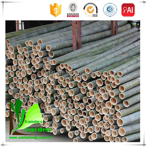 Eco-friendly Mould Proofed Construction <strong>Material</strong> Treated <strong>Raw</strong> <strong>Bamboo</strong> Branch Poles Phytosanitary Certificate Agriculture Garden - Product Image 2