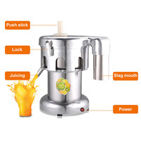 Professionele roestvrijstalen fruit- en groentesapverwerkingsapparatuur, wortelen-tomaat-extractor, capaciteit 100-120 kg, CE-gecertificeerd