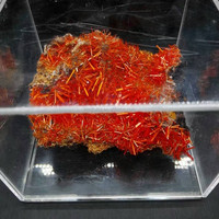 Spécimen minéral de crocodile naturel, 20g