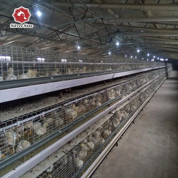 China produceren hoogwaardige een type dier gaas kooien voor vleeskuikens kippen