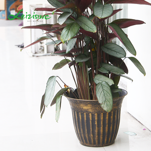 <span class=keywords><strong>Fioriere</strong></span> di <span class=keywords><strong>plastica</strong></span> <span class=keywords><strong>rotonde</strong></span> dei vasi da fiori della pianta dell'erba della decorazione domestica a 13 pollici all'ingrosso di Leizisure - Product Image 3